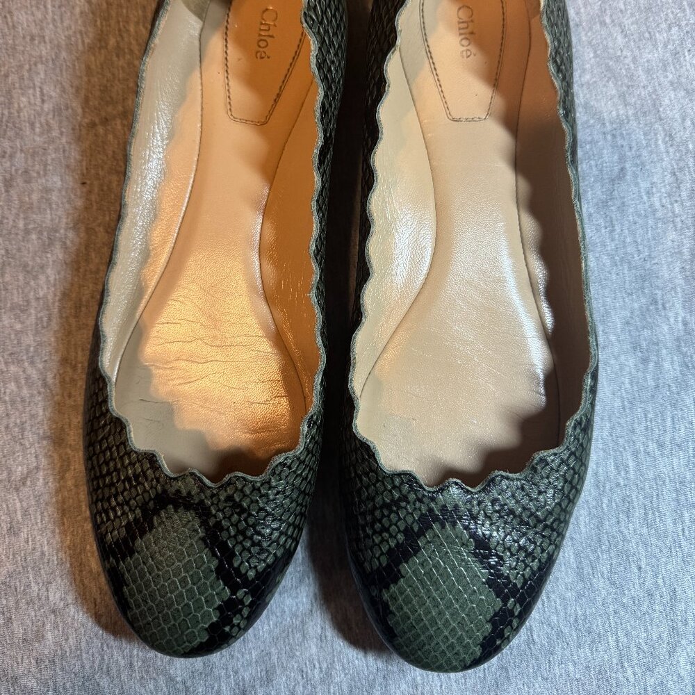 Chloe Green/Glack Python Embossed Leather Lauren … - image 1